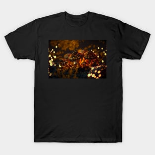 Glowing mushrooms 0 T-Shirt